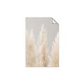 Picture of Creamy Petal Pampas II _GroupedProduct_Rectangle_Portrait_Photography _GroupedProduct_Rectangle_Portrait_Unframed_Print_Only_