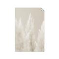 Picture of Creamy Petal Pampas II _GroupedProduct_Rectangle_Portrait_Photography _GroupedProduct_Rectangle_Portrait_Unframed_Print_Only_