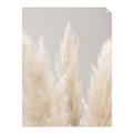 Picture of Creamy Petal Pampas II _GroupedProduct_Rectangle_Portrait_Photography _GroupedProduct_Rectangle_Portrait_Unframed_Print_Only_