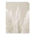 Picture of Creamy Petal Pampas II _GroupedProduct_Rectangle_Portrait_Photography _GroupedProduct_Rectangle_Portrait_Unframed_Print_Only_