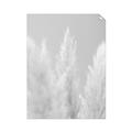 Picture of Creamy Petal Pampas II _GroupedProduct_Rectangle_Portrait_Photography _GroupedProduct_Rectangle_Portrait_Unframed_Print_Only_