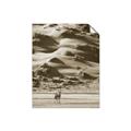 Picture of Tranquil Walk in the Valley _GroupedProduct_Rectangle_Portrait_Photography _GroupedProduct_Rectangle_Portrait_Unframed_Print_Only_