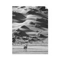 Picture of Tranquil Walk in the Valley _GroupedProduct_Rectangle_Portrait_Photography _GroupedProduct_Rectangle_Portrait_Unframed_Print_Only_