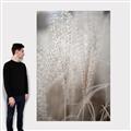 Picture of Elysian Grass _GroupedProduct_Rectangle_Portrait_Photography _GroupedProduct_Rectangle_Portrait_Canvas_