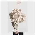 Picture of Lullaby of a Beige Flower _GroupedProduct_Rectangle_Portrait_Photography _GroupedProduct_Rectangle_Portrait_Canvas_