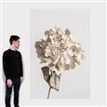Picture of Lullaby of a Beige Flower _GroupedProduct_Rectangle_Portrait_Photography _GroupedProduct_Rectangle_Portrait_Canvas_