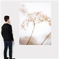 Picture of Desert Bloom Elegance _GroupedProduct_Rectangle_Portrait_Photography _GroupedProduct_Rectangle_Portrait_Canvas_
