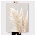 Picture of Creamy Petal Pampas I _GroupedProduct_Rectangle_Portrait_Photography _GroupedProduct_Rectangle_Portrait_Canvas_