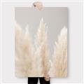 Picture of Creamy Petal Pampas II _GroupedProduct_Rectangle_Portrait_Photography _GroupedProduct_Rectangle_Portrait_Canvas_