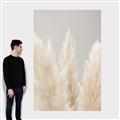 Picture of Creamy Petal Pampas II _GroupedProduct_Rectangle_Portrait_Photography _GroupedProduct_Rectangle_Portrait_Canvas_
