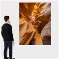 Picture of The Golden Passage _GroupedProduct_Rectangle_Portrait_Photography _GroupedProduct_Rectangle_Portrait_Canvas_