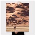 Picture of Tranquil Walk in the Valley _GroupedProduct_Rectangle_Portrait_Photography _GroupedProduct_Rectangle_Portrait_Canvas_