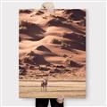 Picture of Tranquil Walk in the Valley _GroupedProduct_Rectangle_Portrait_Photography _GroupedProduct_Rectangle_Portrait_Canvas_