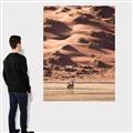 Picture of Tranquil Walk in the Valley _GroupedProduct_Rectangle_Portrait_Photography _GroupedProduct_Rectangle_Portrait_Canvas_