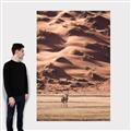 Picture of Tranquil Walk in the Valley _GroupedProduct_Rectangle_Portrait_Photography _GroupedProduct_Rectangle_Portrait_Canvas_