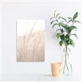 Picture of Rhapsody of Grass Blades _GroupedProduct_Rectangle_Portrait_Photography _GroupedProduct_Rectangle_Portrait_Canvas_