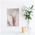 Picture of Enchanted Pampas Grass _GroupedProduct_Rectangle_Portrait_Photography _GroupedProduct_Rectangle_Portrait_Canvas_