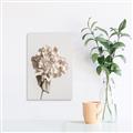 Picture of Lullaby of a Beige Flower _GroupedProduct_Rectangle_Portrait_Photography _GroupedProduct_Rectangle_Portrait_Canvas_