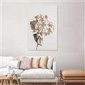 Picture of Lullaby of a Beige Flower _GroupedProduct_Rectangle_Portrait_Photography _GroupedProduct_Rectangle_Portrait_Canvas_