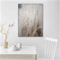 Picture of Elysian Grass _GroupedProduct_Rectangle_Portrait_Photography _GroupedProduct_Rectangle_Portrait_Canvas_Framed_