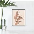 Picture of Dried Eucalyptus Blossom _GroupedProduct_Rectangle_Portrait_Photography _GroupedProduct_Rectangle_Portrait_Canvas_Framed_