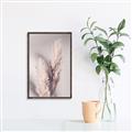 Picture of Enchanted Pampas Grass _GroupedProduct_Rectangle_Portrait_Photography _GroupedProduct_Rectangle_Portrait_Canvas_Framed_