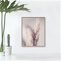 Picture of Enchanted Pampas Grass _GroupedProduct_Rectangle_Portrait_Photography _GroupedProduct_Rectangle_Portrait_Canvas_Framed_