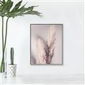 Picture of Enchanted Pampas Grass _GroupedProduct_Rectangle_Portrait_Photography _GroupedProduct_Rectangle_Portrait_Canvas_Framed_