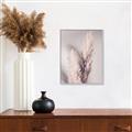 Picture of Enchanted Pampas Grass _GroupedProduct_Rectangle_Portrait_Photography _GroupedProduct_Rectangle_Portrait_Canvas_Framed_
