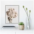 Picture of Lullaby of a Beige Flower _GroupedProduct_Rectangle_Portrait_Photography _GroupedProduct_Rectangle_Portrait_Canvas_Framed_