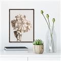 Picture of Lullaby of a Beige Flower _GroupedProduct_Rectangle_Portrait_Photography _GroupedProduct_Rectangle_Portrait_Canvas_Framed_
