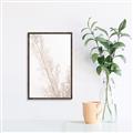 Picture of Earthy Flora Straws _GroupedProduct_Rectangle_Portrait_Photography _GroupedProduct_Rectangle_Portrait_Canvas_Framed_