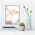 Picture of Desert Bloom Elegance _GroupedProduct_Rectangle_Portrait_Photography _GroupedProduct_Rectangle_Portrait_Canvas_Framed_