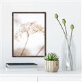 Picture of Desert Bloom Elegance _GroupedProduct_Rectangle_Portrait_Photography _GroupedProduct_Rectangle_Portrait_Canvas_Framed_