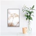 Picture of Desert Bloom Elegance _GroupedProduct_Rectangle_Portrait_Photography _GroupedProduct_Rectangle_Portrait_Canvas_Framed_