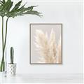 Picture of Creamy Petal Pampas I _GroupedProduct_Rectangle_Portrait_Photography _GroupedProduct_Rectangle_Portrait_Canvas_Framed_