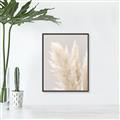 Picture of Creamy Petal Pampas I _GroupedProduct_Rectangle_Portrait_Photography _GroupedProduct_Rectangle_Portrait_Canvas_Framed_