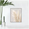 Picture of Creamy Petal Pampas I _GroupedProduct_Rectangle_Portrait_Photography _GroupedProduct_Rectangle_Portrait_Canvas_Framed_