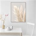 Picture of Creamy Petal Pampas I _GroupedProduct_Rectangle_Portrait_Photography _GroupedProduct_Rectangle_Portrait_Canvas_Framed_