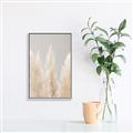 Picture of Creamy Petal Pampas II _GroupedProduct_Rectangle_Portrait_Photography _GroupedProduct_Rectangle_Portrait_Canvas_Framed_