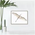 Picture of Serenade Flight _GroupedProduct_Rectangle_Landscape_Photography _GroupedProduct_Rectangle_Landscape_Canvas_Framed_