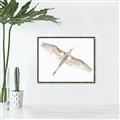 Picture of Serenade Flight _GroupedProduct_Rectangle_Landscape_Photography _GroupedProduct_Rectangle_Landscape_Canvas_Framed_