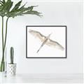 Picture of Serenade Flight _GroupedProduct_Rectangle_Landscape_Photography _GroupedProduct_Rectangle_Landscape_Canvas_Framed_