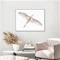 Picture of Serenade Flight _GroupedProduct_Rectangle_Landscape_Photography _GroupedProduct_Rectangle_Landscape_Canvas_Framed_