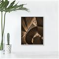 Picture of Muted Sun's Rays on Stairs _GroupedProduct_Rectangle_Portrait_Photography _GroupedProduct_Rectangle_Portrait_Canvas_Framed_