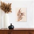 Picture of Dried Eucalyptus Blossom _GroupedProduct_Rectangle_Portrait_Photography _GroupedProduct_Rectangle_Portrait_Unframed_Print_Only_