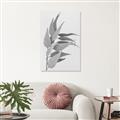 Picture of Dried Eucalyptus Blossom _GroupedProduct_Rectangle_Portrait_Photography _GroupedProduct_Rectangle_Portrait_Unframed_Print_Only_