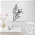 Picture of Dried Eucalyptus Blossom _GroupedProduct_Rectangle_Portrait_Photography _GroupedProduct_Rectangle_Portrait_Unframed_Print_Only_