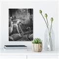 Picture of Flamingo _GroupedProduct_Rectangle_Portrait_Photography _GroupedProduct_Rectangle_Portrait_Unframed_Print_Only_