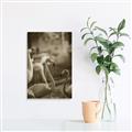 Picture of Flamingo _GroupedProduct_Rectangle_Portrait_Photography _GroupedProduct_Rectangle_Portrait_Unframed_Print_Only_